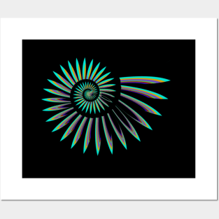 Ammonite Spiral Posters and Art